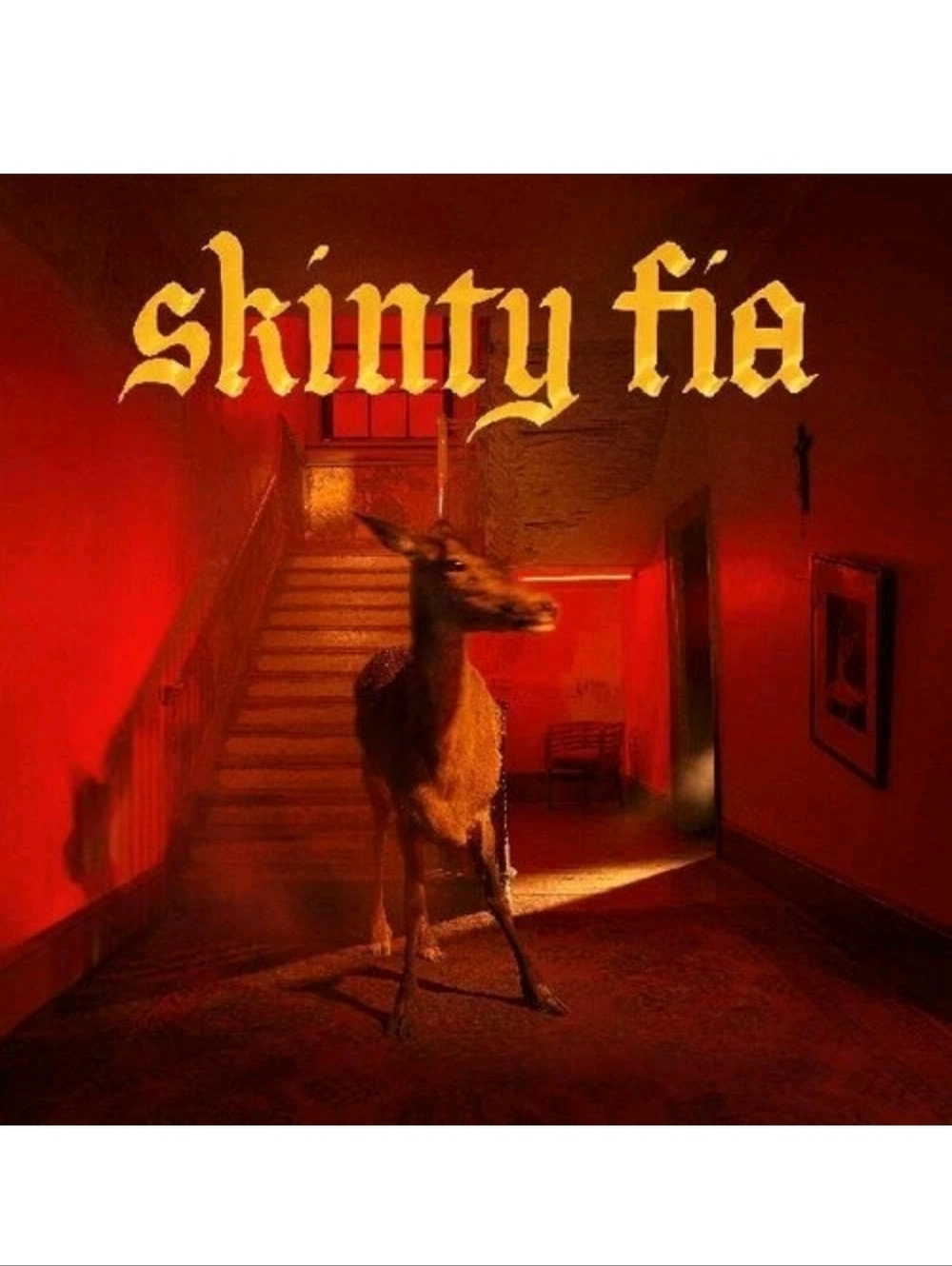 Fontaines D.C. - Skinty Fia [New Vinyl LP]
